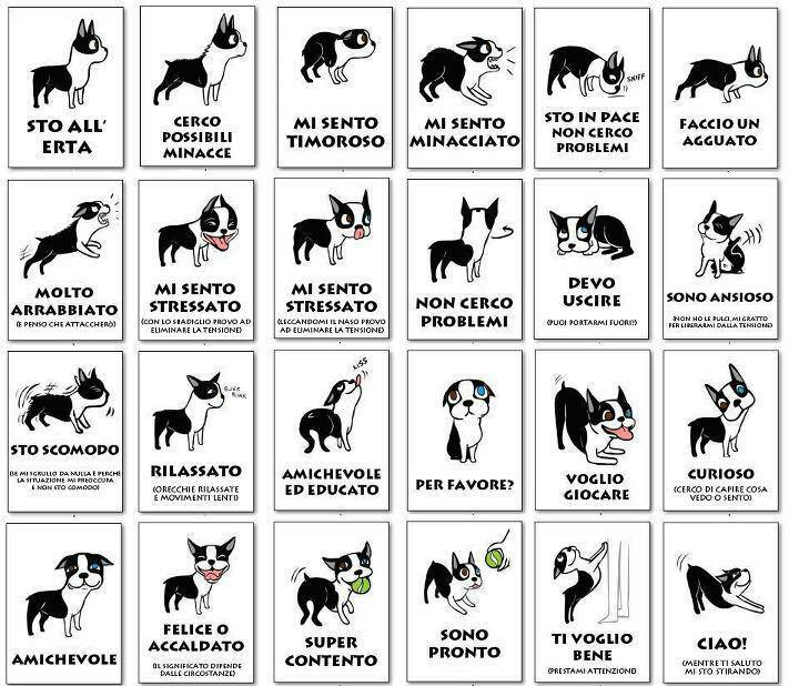 1017634_216786015135998_1660340723_n