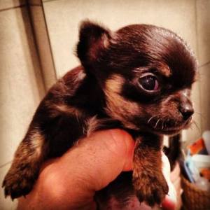 10269596_313339062147895_8220063096415961728_n