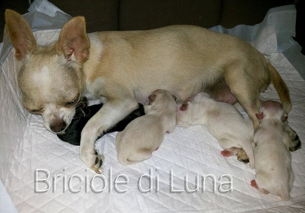 16683_719602804742699_3683676081948300553_n