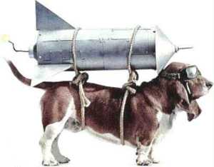 Cane_legato_a_un_razzo