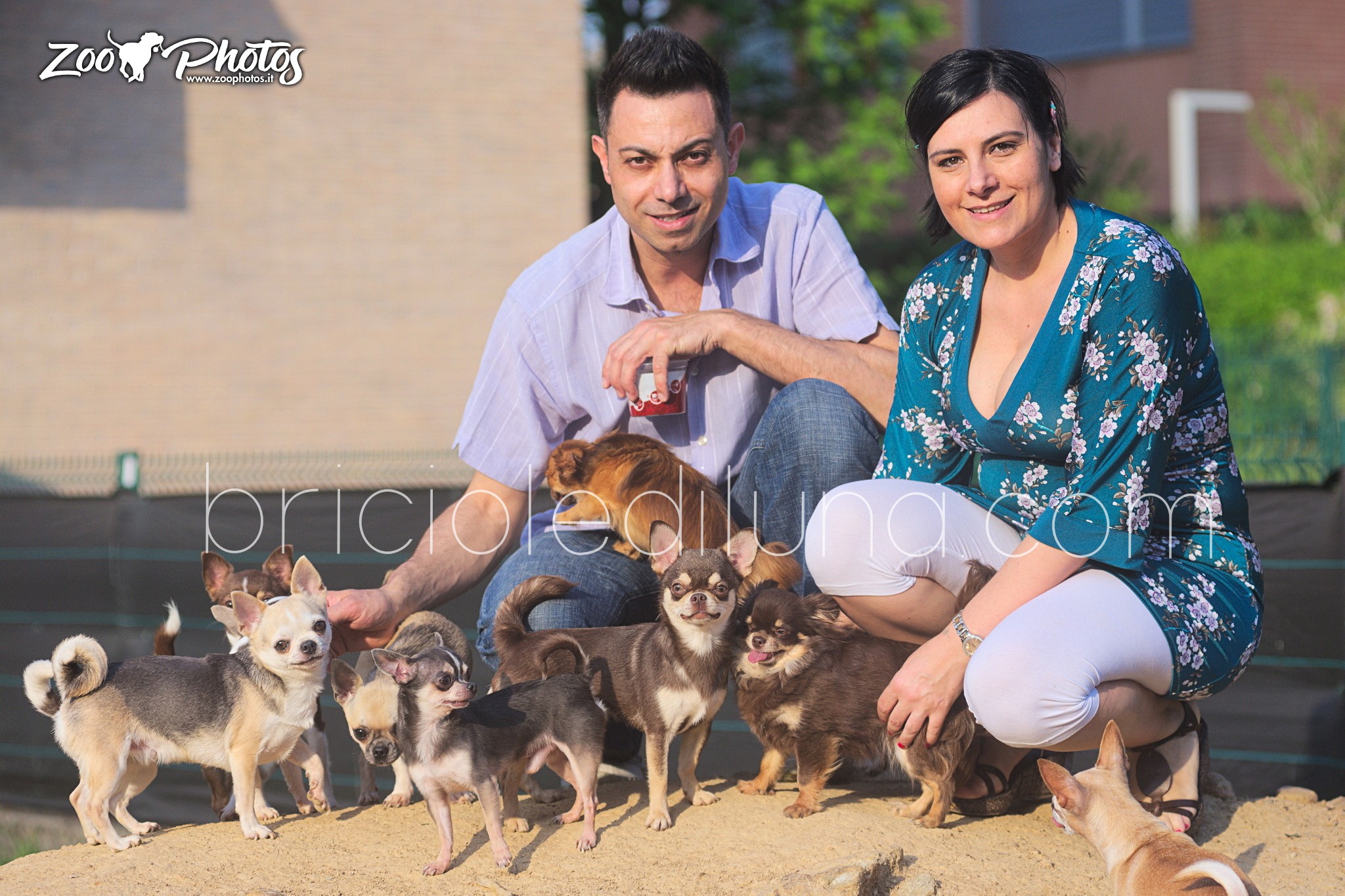 Briciole di Luna – Associazione Aps Chihuahua Riconosciuto ENCI-FCI, image size:2048x1365